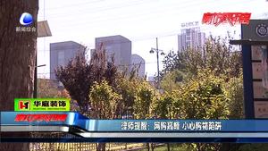 “双十一”优惠来袭 市民态度不一