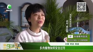 多肉植物如何安全过冬