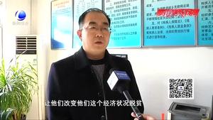 “扶贫鹅”助残脱困（一）：政府免费发放鹅雏 助残疾人自力更生增收