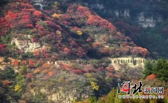 驼梁、大海陀自然保护区建设项目获准立项