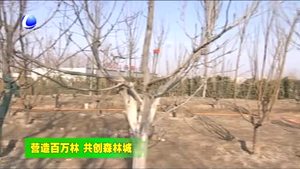 香河县今春计划造林11.2万亩 打造绿色生态家园