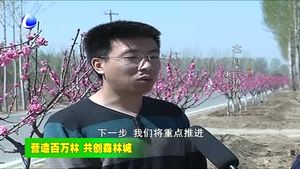 大厂县高质量打好造林绿化攻坚战