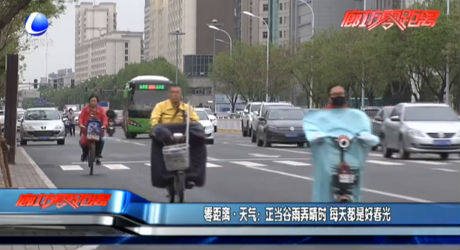 正当谷雨弄晴时 每天都是好春光