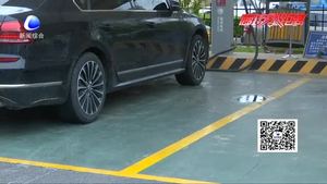 燃油汽车“鸠占鹊巢” 新能源车主很无奈