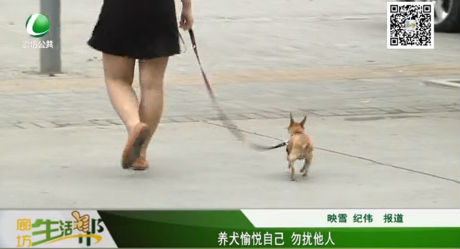 养犬愉悦自己 勿扰他人