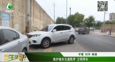 维护城市交通秩序 文明停车