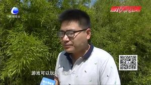 沉迷手机的孩子 内心快乐吗？