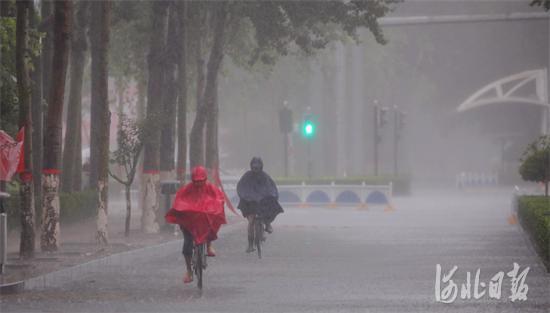 廊坊多部门联动全力应对台风“安比”强降雨