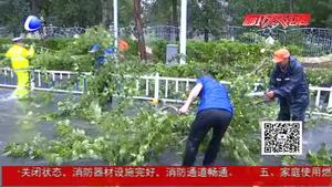 综合执法局冒雨清理倒伏树木 及时疏导保证市民通行安全