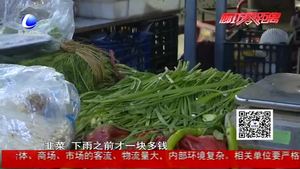 雨后绿叶菜价格暴涨 蔬菜总体均价上涨30%