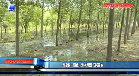 零距离·热线：污水淹田 村民焦心