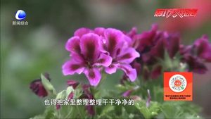 创建“精品庭院”缔造美好生活