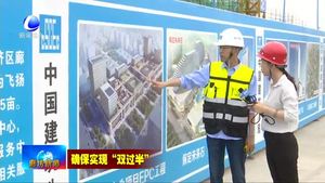 廊坊临空经济区：加快项目建设 打造新经济增长极