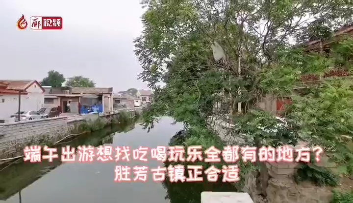  廊视频 | 端午节出游