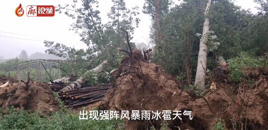 廊视频 | 强风急雨后的韩村