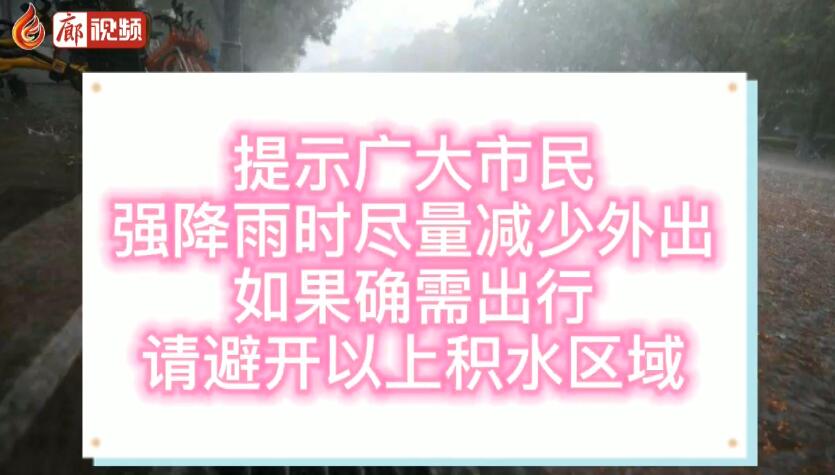 廊视频丨主汛期来临市区易积水区域提示