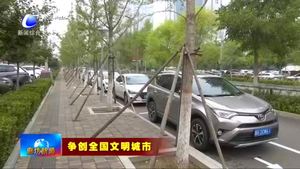 我市继续增划停车位 缓解市民停车难问题