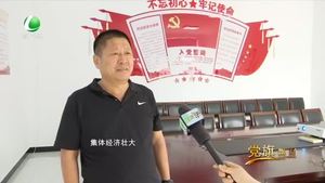 李桑园村书记李洪坤：环境美了 收入高了 人心就齐了