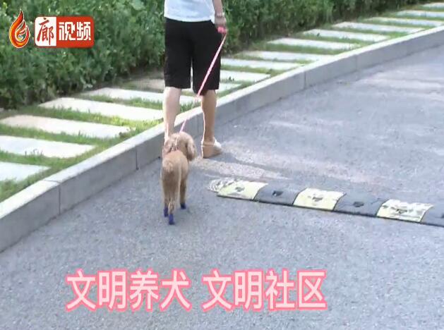 廊视频 | 文明养犬文明社区