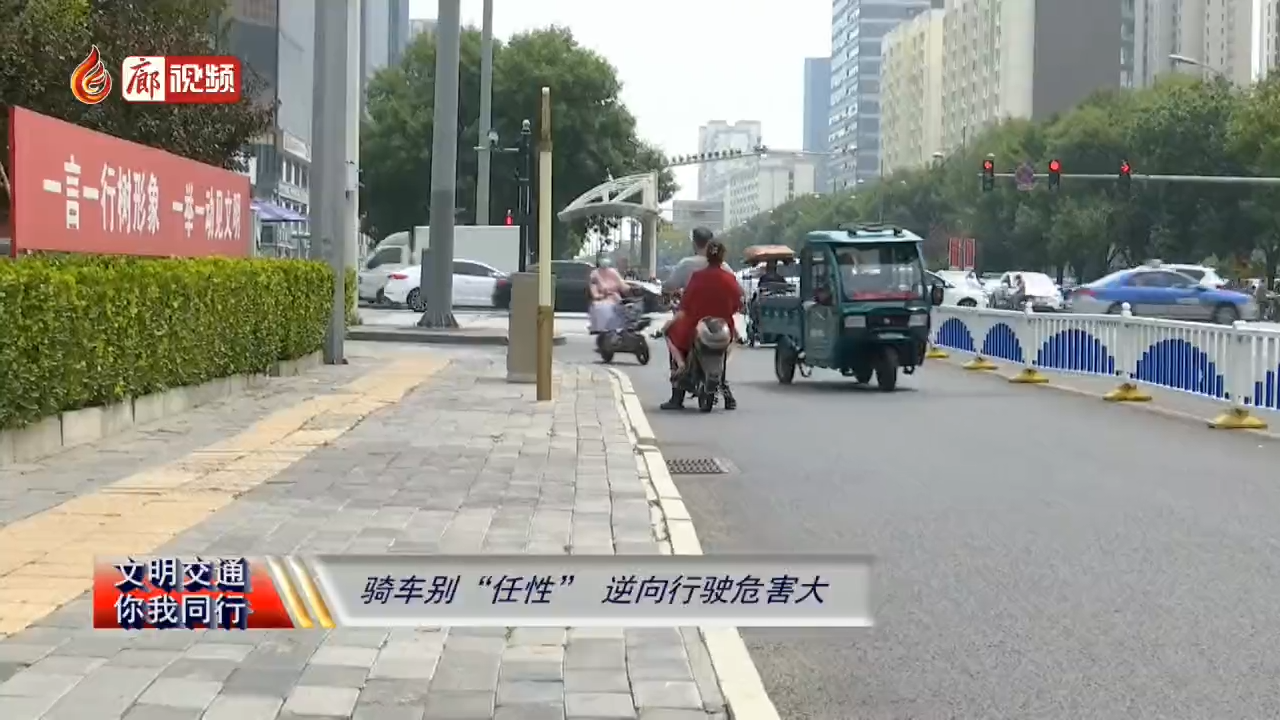 廊视频 | 骑车别“任性” 逆向行驶危害大