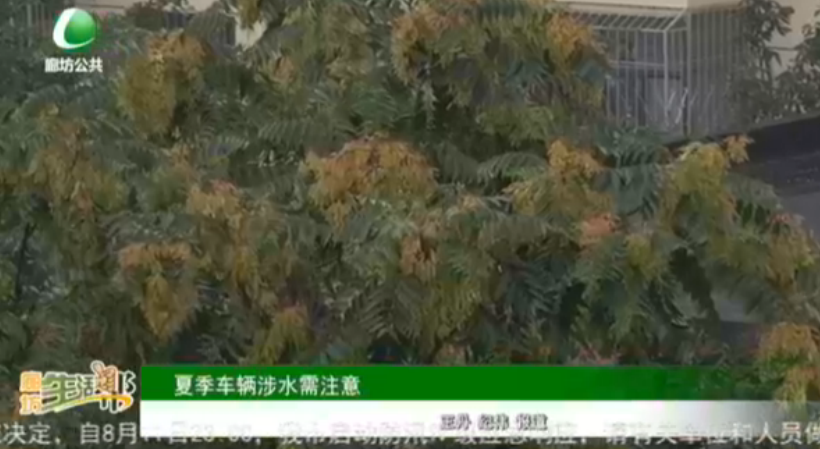 夏季车辆涉水需注意