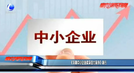 《保障中小企业款项支付条例》施行