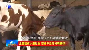 香河县香椿营村：打造少数民族特色村寨 助力乡村振兴