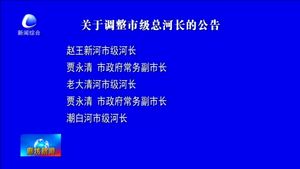 关于调整市级总河长的公告