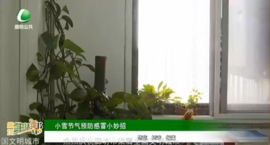 小雪节气预防感冒小妙招