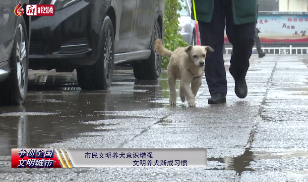  廊视频 | 市民文明养犬意识增强文明养犬渐成习惯