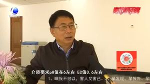 农博士 话农事：盆栽羽衣甘蓝