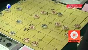 廊坊市迎新春象棋锦标赛开赛 各路选手棋盘论英雄