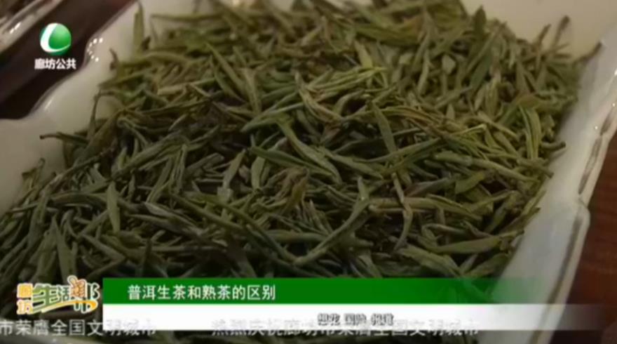 普洱生茶和熟茶的区别