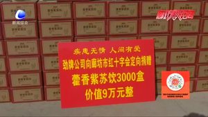 爱心企业捐款9万元物资 为我市抗疫工作者加油