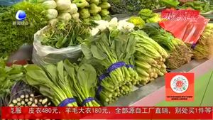 春节临近 菜市供应充足 价格稳定