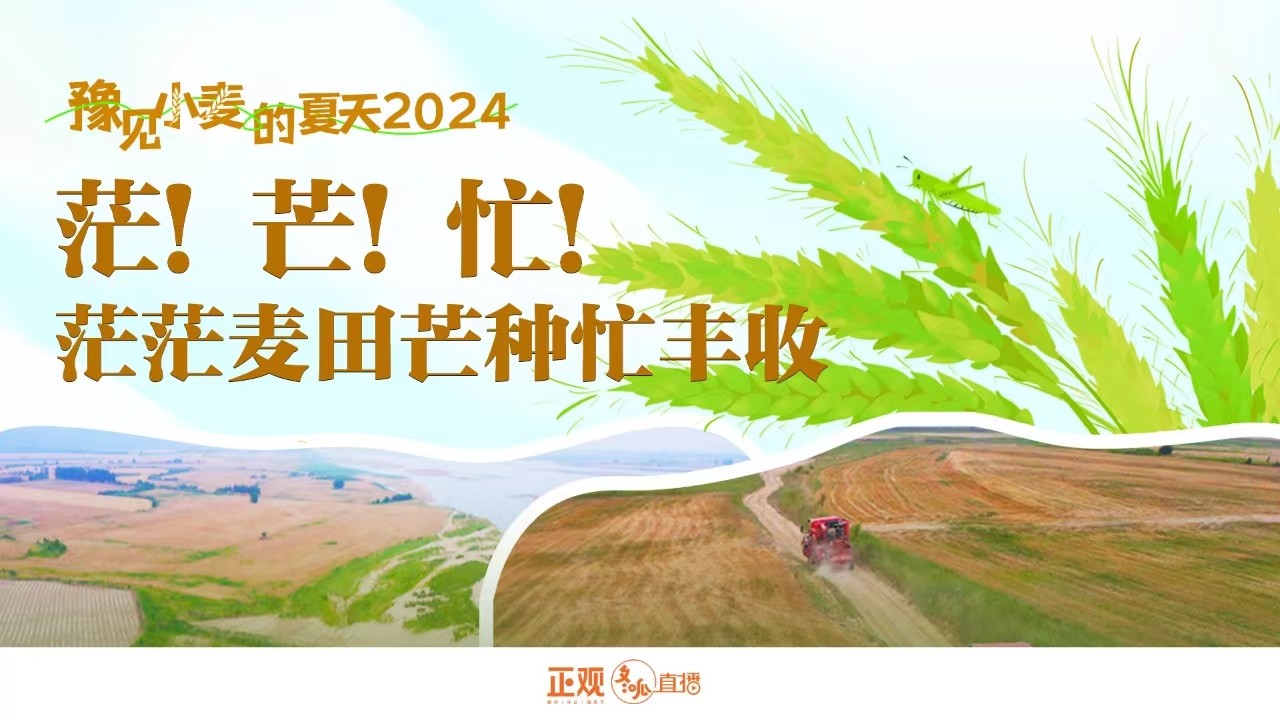 豫见小麦的夏天2024 | 茫！芒！忙！茫茫麦田芒种忙丰收！